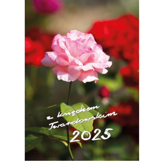 Z księdzem Twardowskim 2025 - Róża