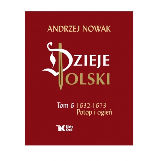 Dzieje Polski /tom 6